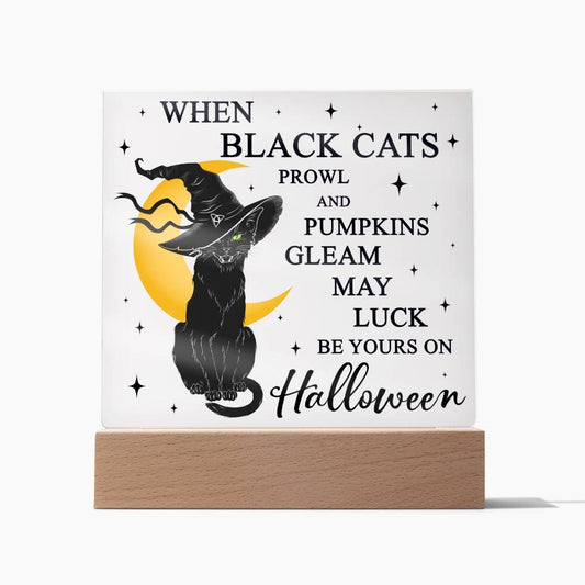 Black Cat-Pumpkins Gleam